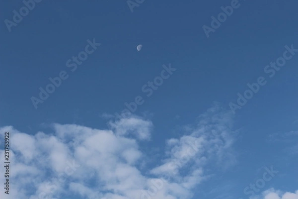 Fototapeta The moon is visible in the afternoon on the blue sky
