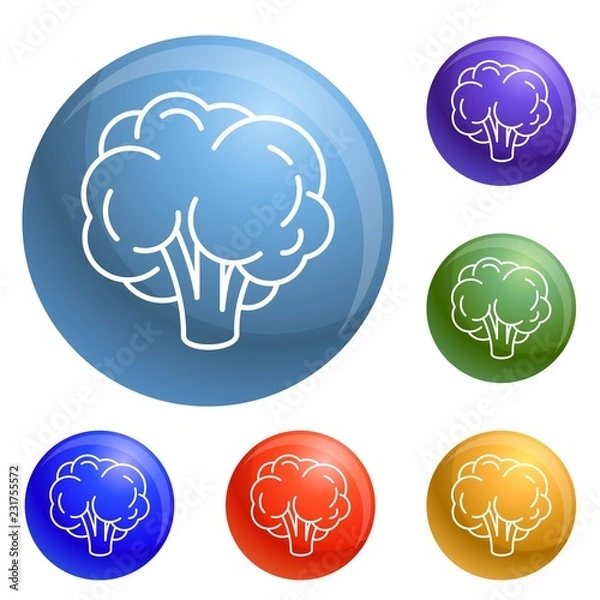 Fototapeta Natural broccoli icons set vector 6 color isolated on white background