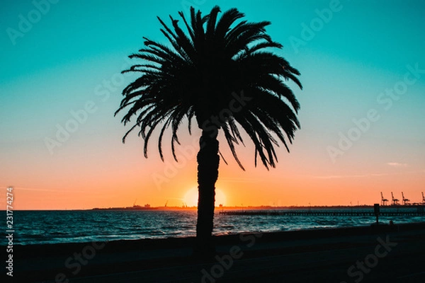 Obraz Tropical Silhouette 