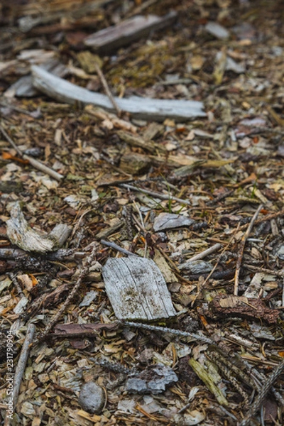 Fototapeta Kleinholz
