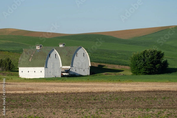 Obraz barn in field