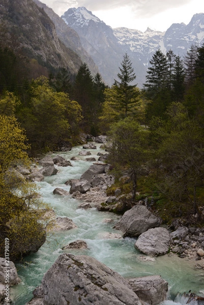 Obraz river in mountains