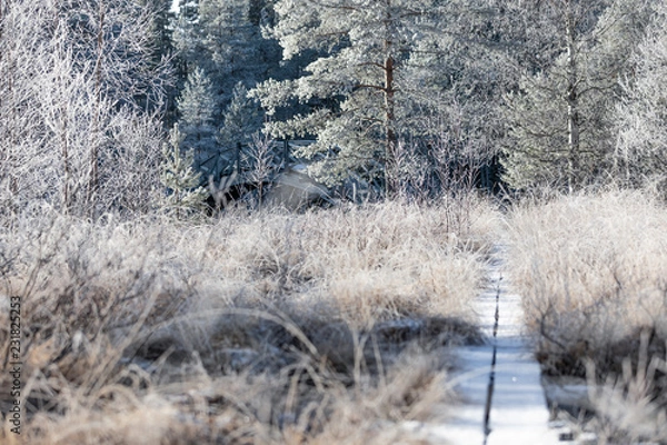 Fototapeta Bridge in frosty fay