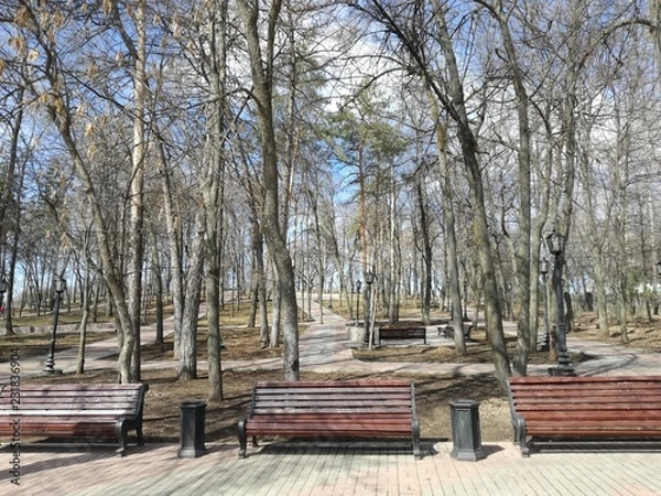 Fototapeta Park bench