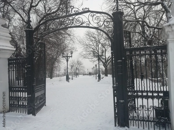 Fototapeta winter park