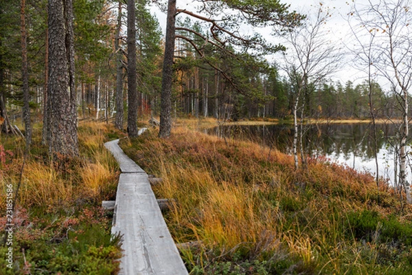 Fototapeta autumn path