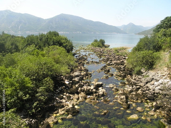 Fototapeta OLYMPUS DIGITAL CAMERA