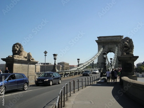 Fototapeta OLYMPUS DIGITAL CAMERA