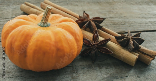 Fototapeta Gourd with star anise and cinnamon