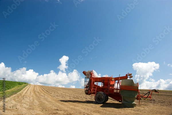 Obraz 北海道・初秋d-18