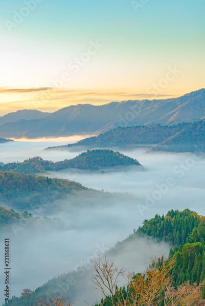 Fototapeta おにゅう峠　紅葉　早朝　大雲海