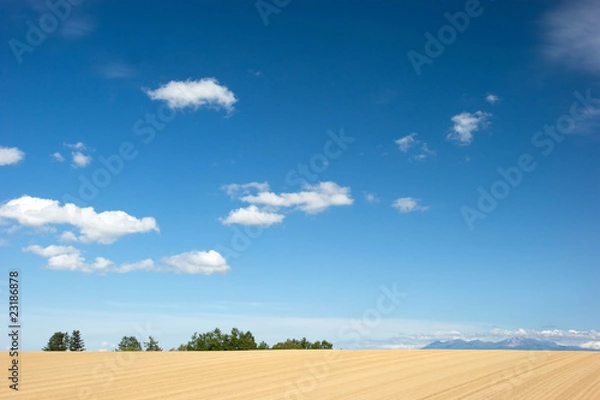 Obraz 北海道・初秋d-28