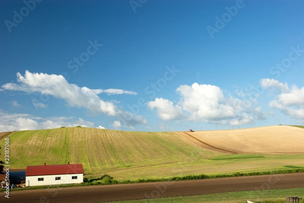 Obraz 北海道・初秋d-6