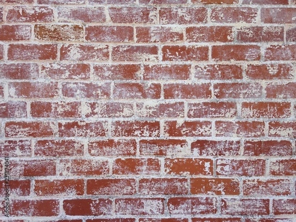 Obraz レンガの壁