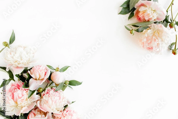 Fototapeta Border frame made of pink and beige peonies flower and isolated on white background. Flat lay, top view. Frame of flowers.