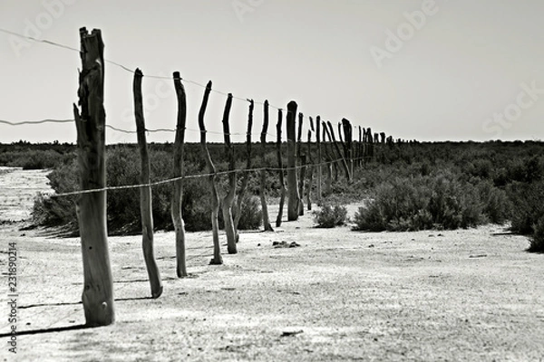 Obraz old wooden fence