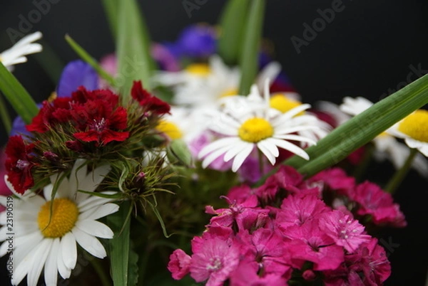 Fototapeta Blumenstrauß