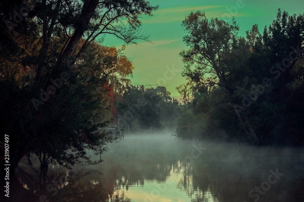 Obraz lake in forest