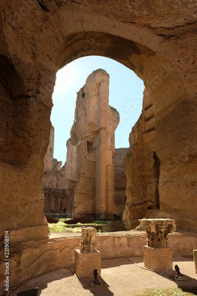 Obraz Ruins of the Baths of Caracalla  in Rome
