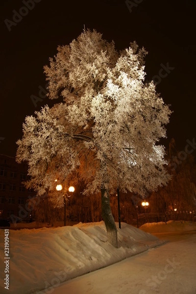 Obraz Зимняя сказка