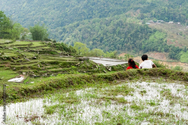 Obraz children rice field