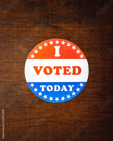 Obraz "I Voted Today" 8x10