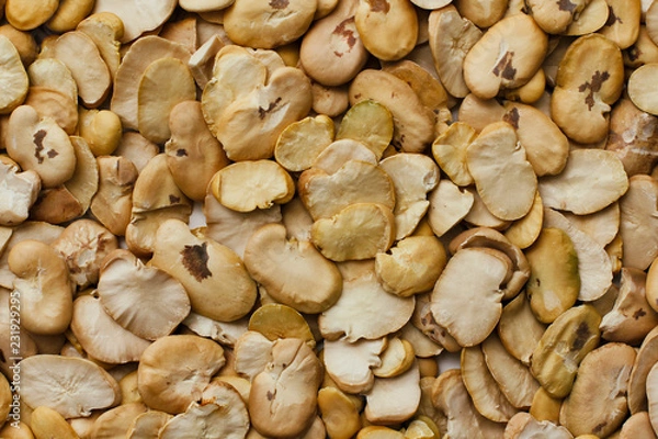 Obraz Dried split broad beans pattern texture. 