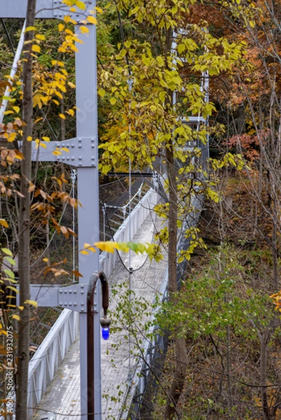 Obraz Pedestrian Suspension Bridge over Triphammer Falls, Ithaca, New York. Waterfall in the middle of Cornell University campus