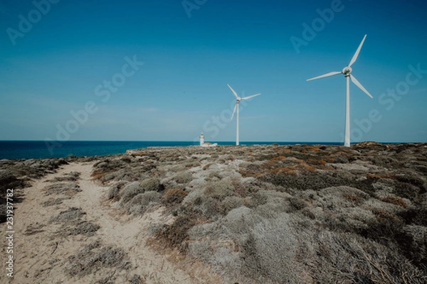 Obraz windmill wind energy, renewable clean energy