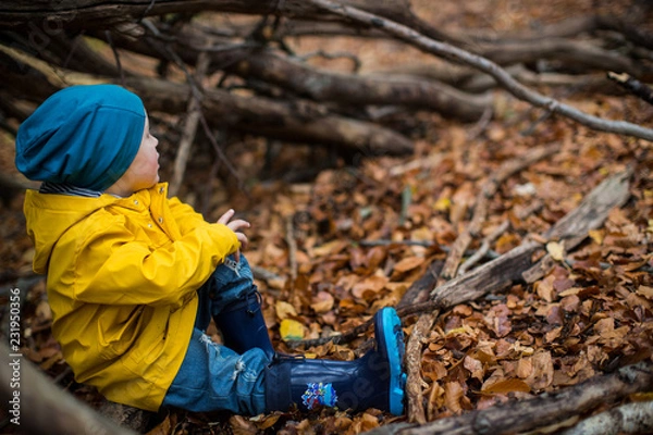 Fototapeta im Wald sitzen