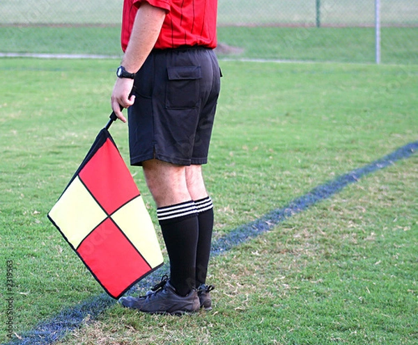 Obraz referee