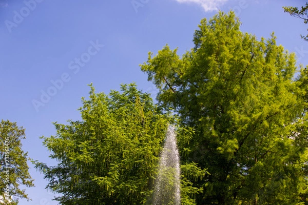 Obraz Wasserfontaine