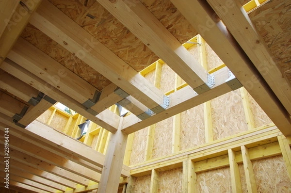 Obraz construction en ossature bois 