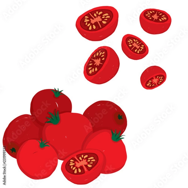 Fototapeta Painterly vector set of cherry tomatoes, raw and sliced.