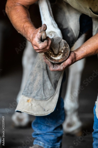 Fototapeta farrier