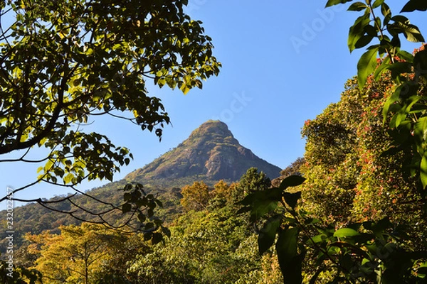Obraz Adam's peak