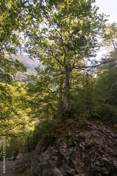 Fototapeta Natural landscape with blue sky in Spain