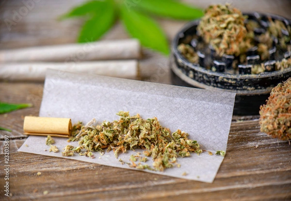 Fototapeta Cannabis joints with rolling paper and grinder