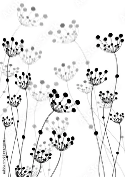 Obraz dientes de león