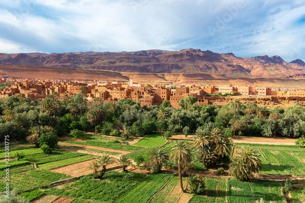 Obraz Town and oasis of Tinerhir, Morocco