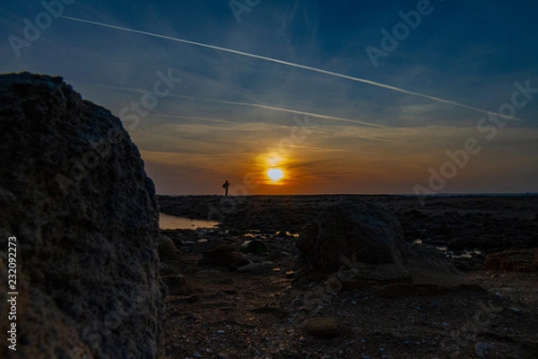 Obraz unity with nature