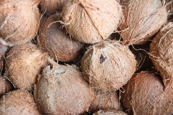 Obraz Coconut without bark for coconut milk.