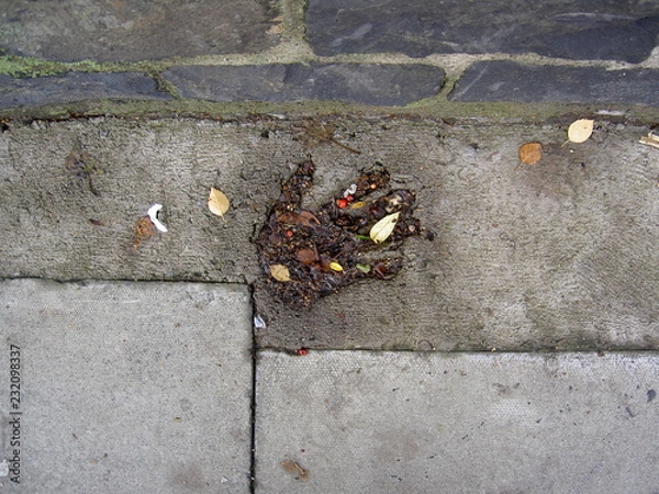 Obraz hand print in concrete