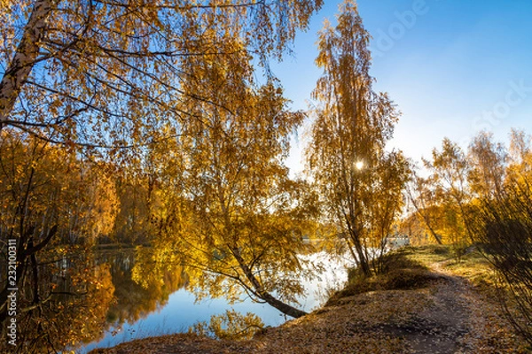 Fototapeta autumn morning  in the park