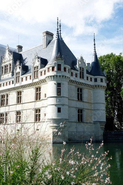 Obraz Chateau Azay le Rideau