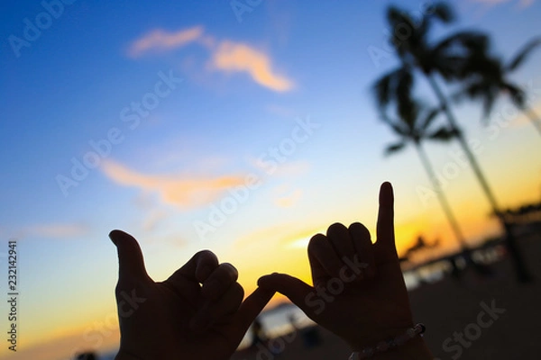 Obraz ハワイのバカンス