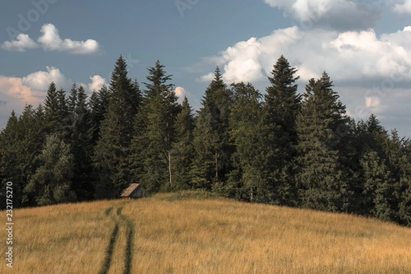 Obraz Chatka pod lasem