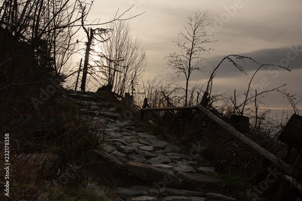 Obraz Dróżka na szczyt