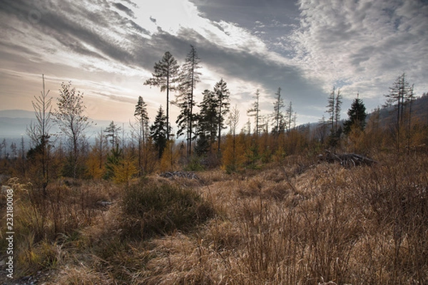 Obraz Górski krajobraz