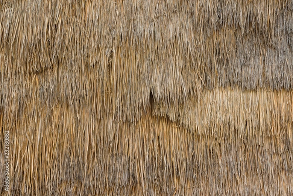 Fototapeta Thatch background texture